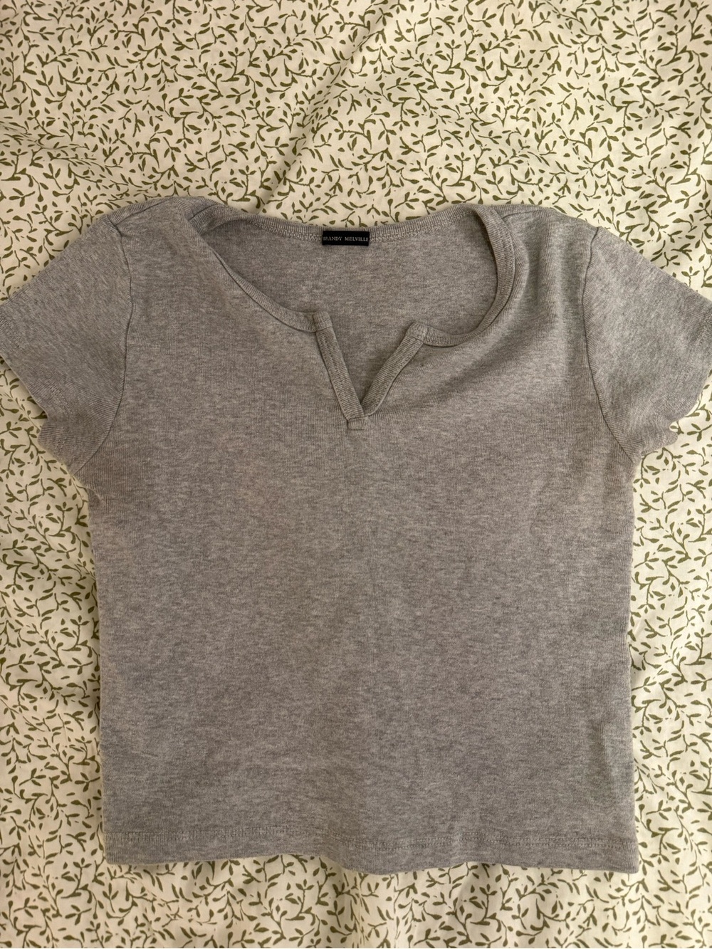 Brandy Melville Cropped Tee